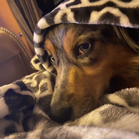 Meet your Posher, Linda - Picture 4 of 7